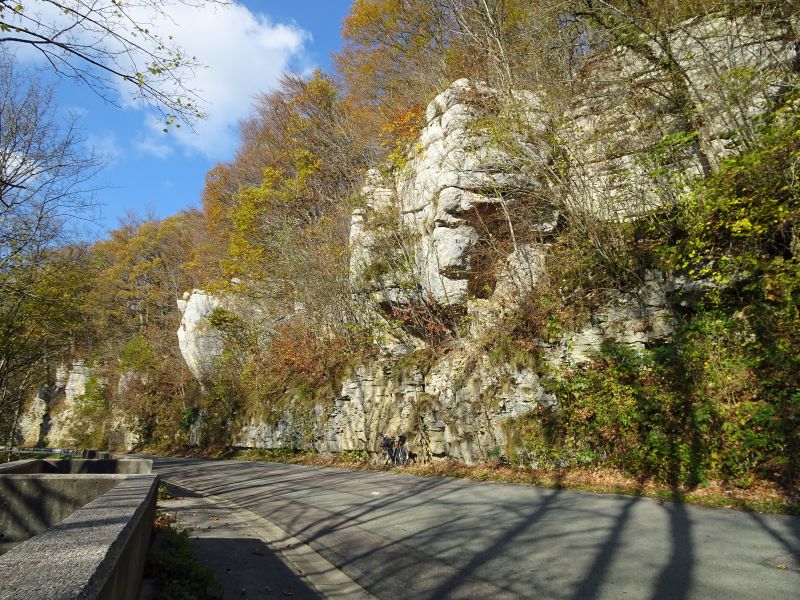 DSC01190.JPG