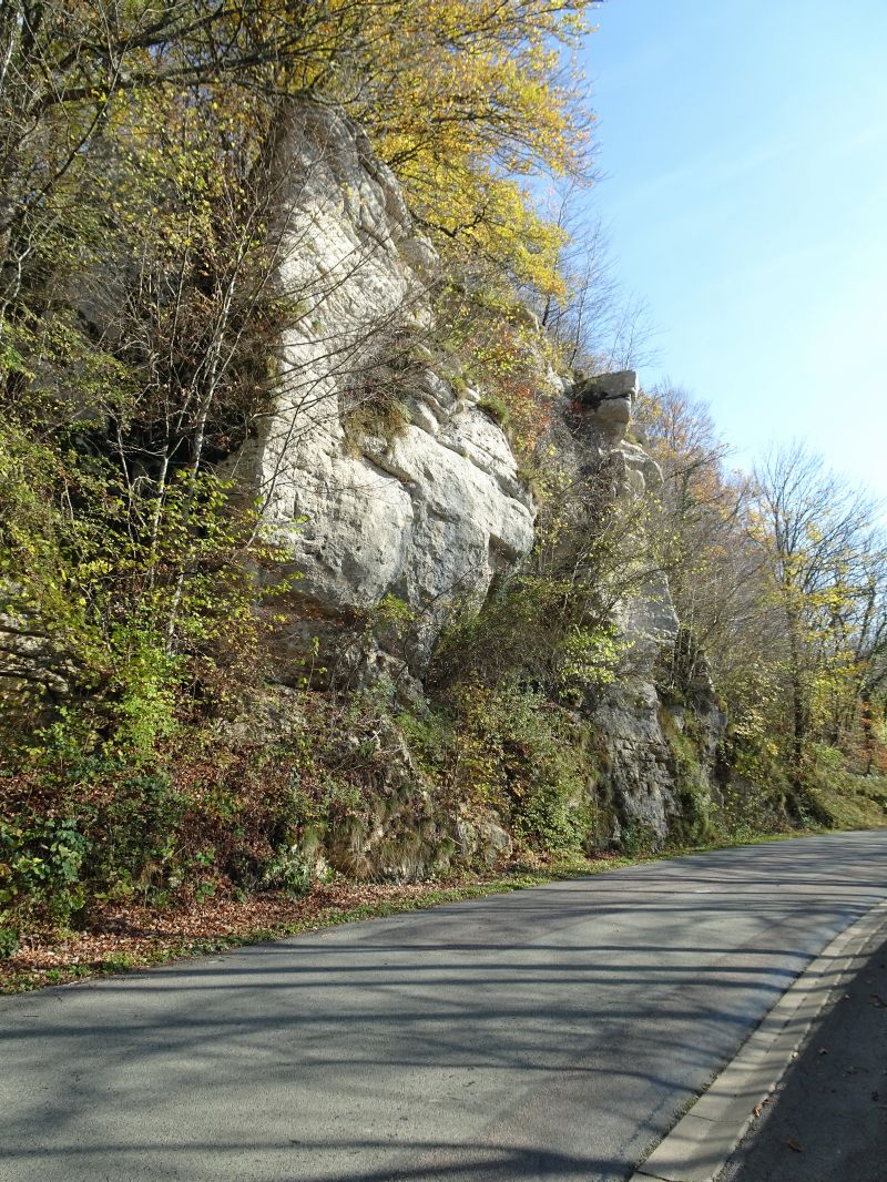 DSC01192.JPG