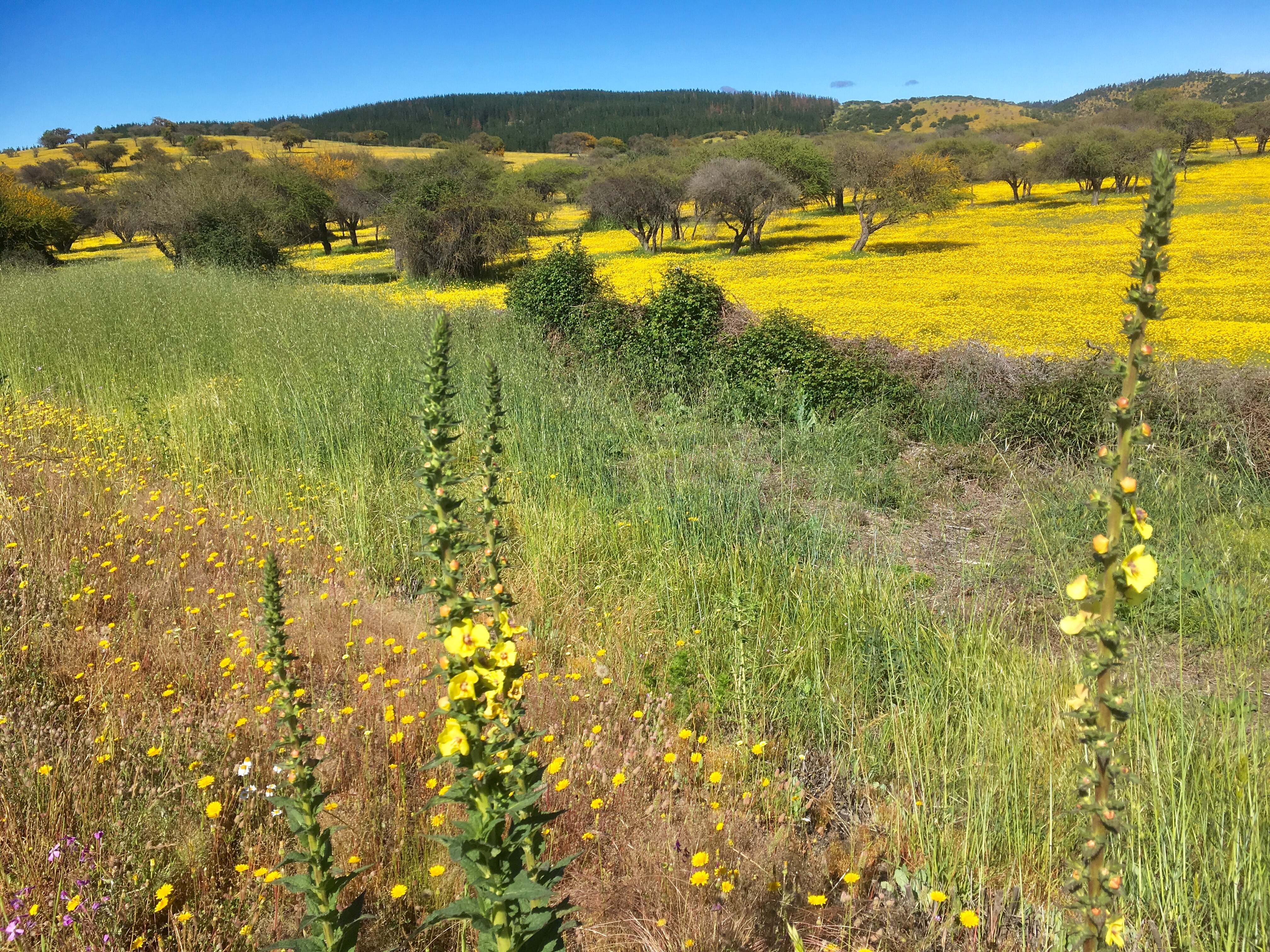 Entre Santiago et Melipilla