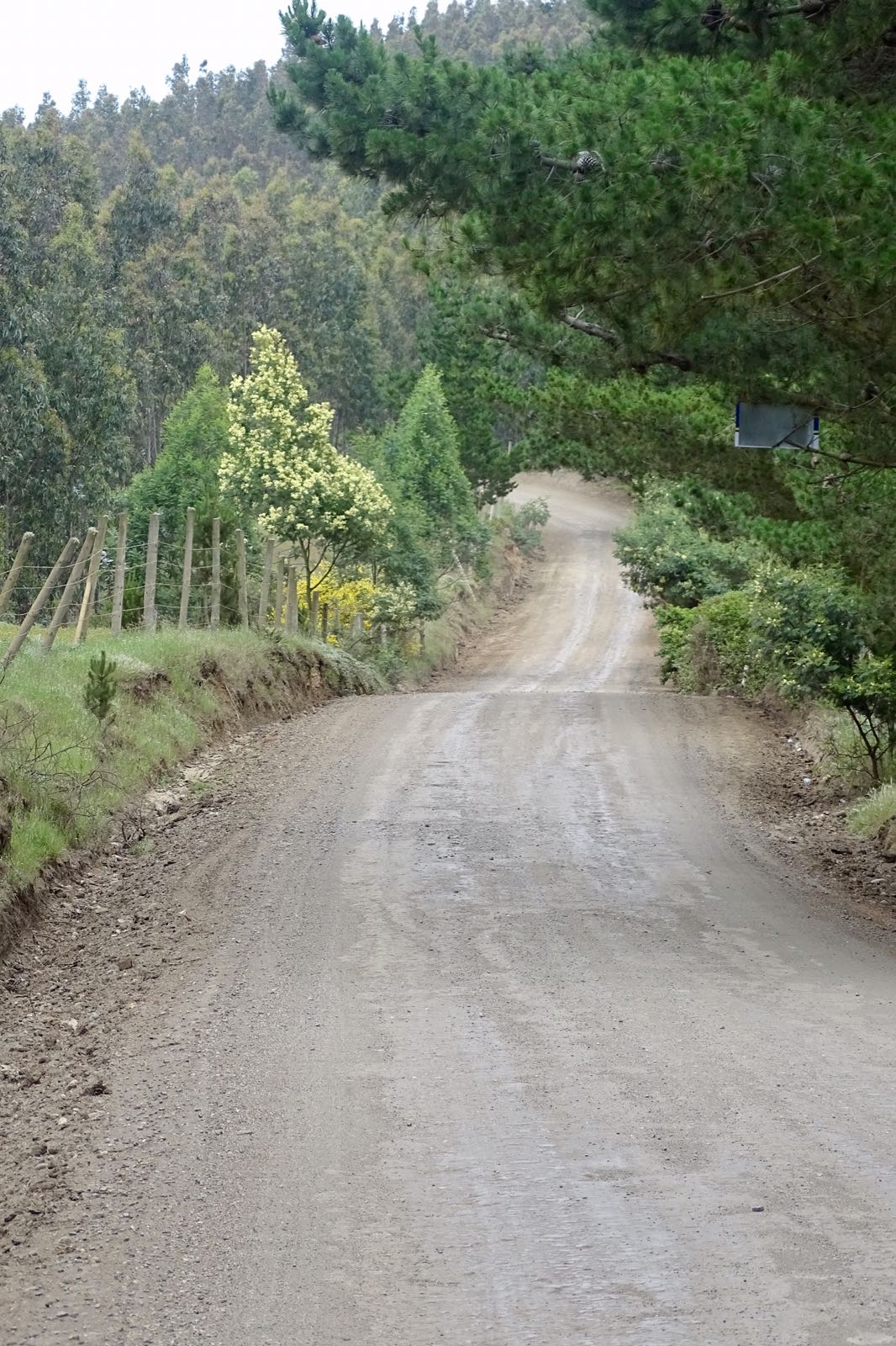 07 - Chemin d'une trentaine de km après Bucalemu.jpg