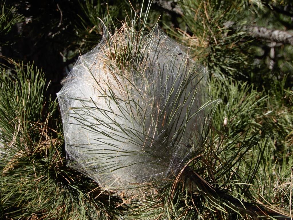 DSCN1423.JPG