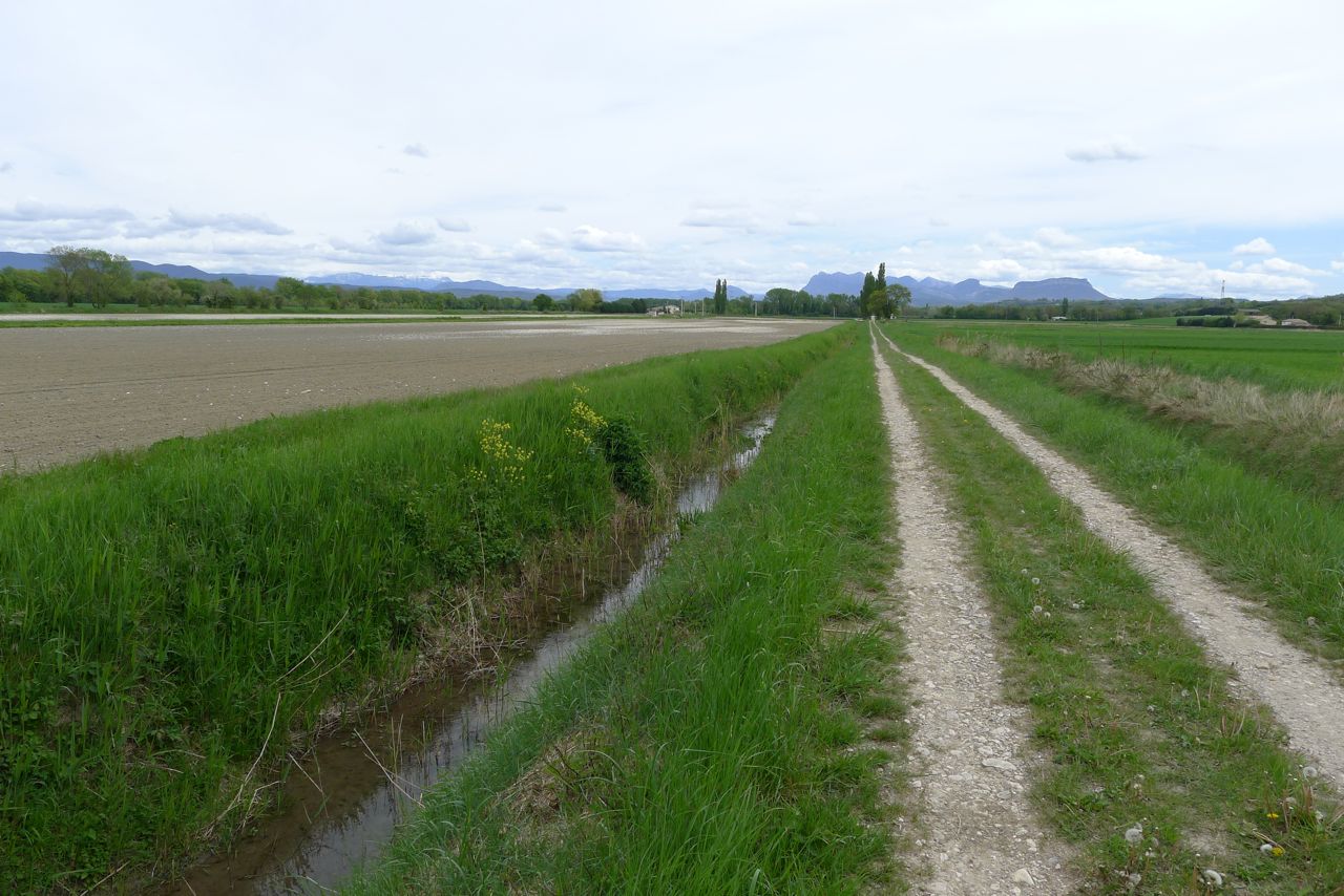 canal_du_grand_alignement.jpg