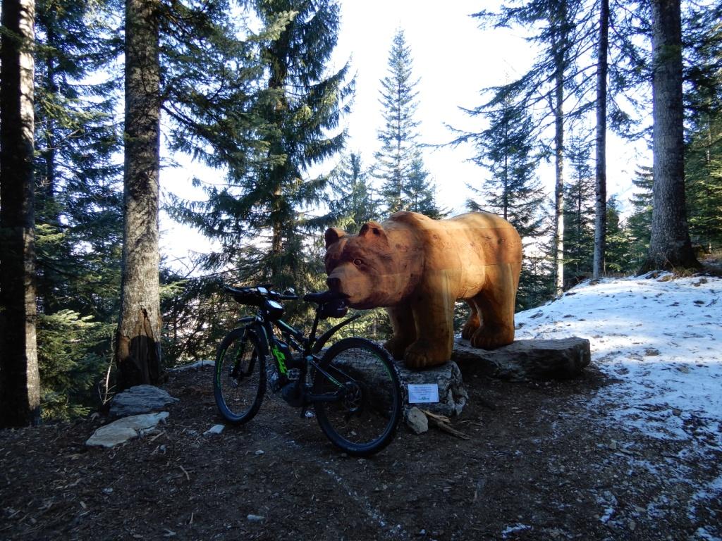 DSCN1542.JPG