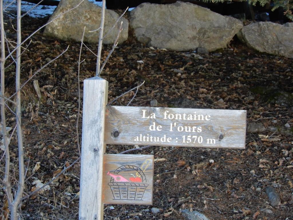 DSCN1545.JPG
