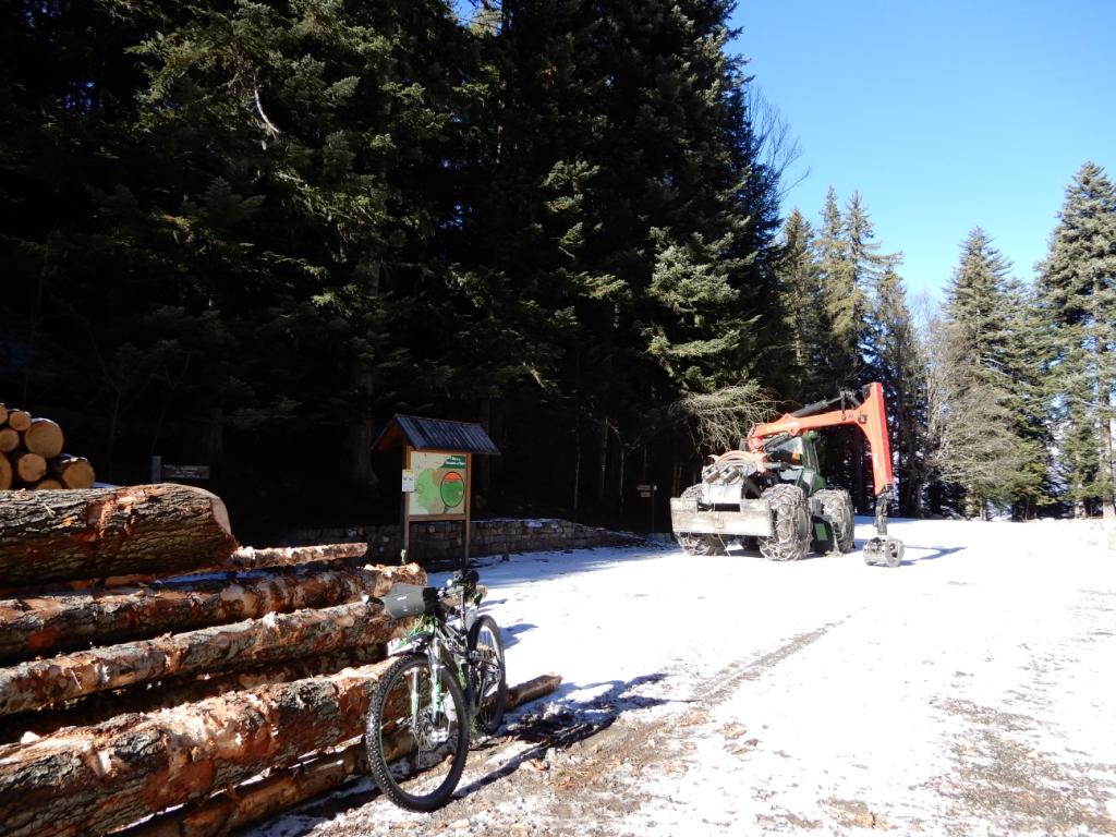 DSCN1544.JPG