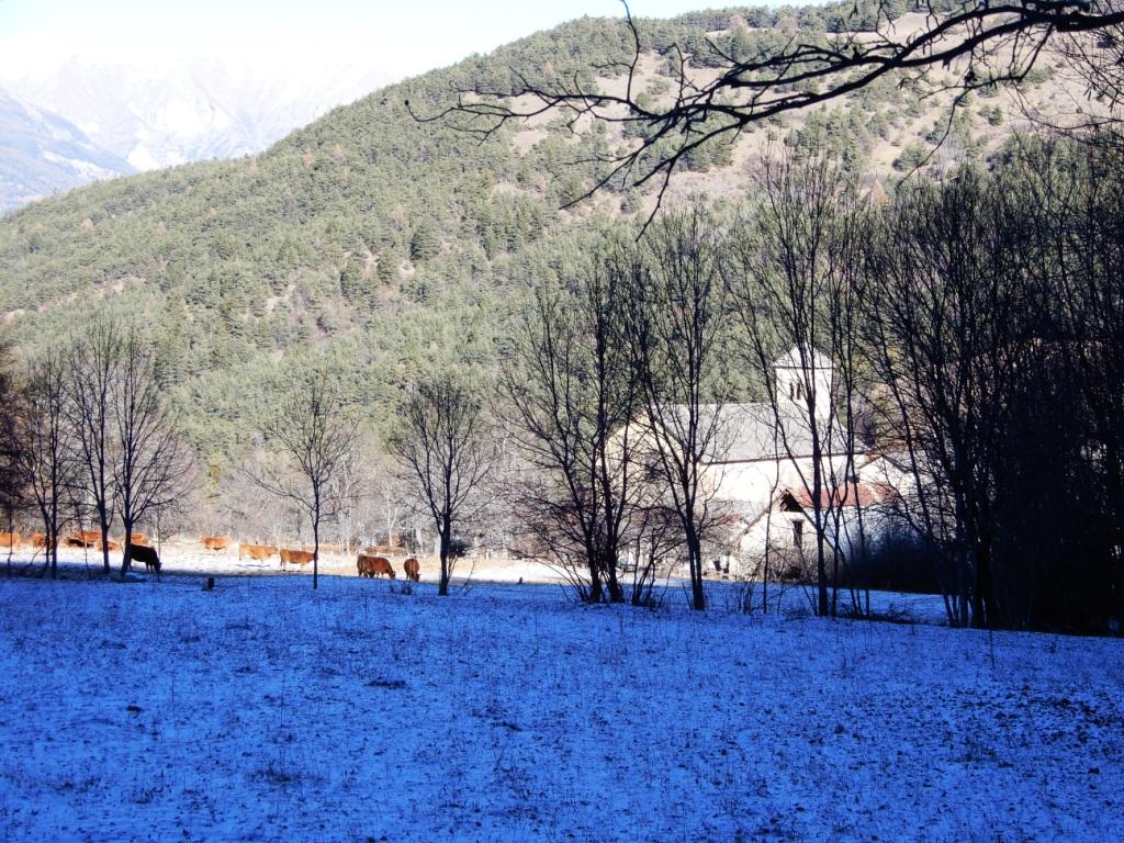 Abbaye de Boscodon