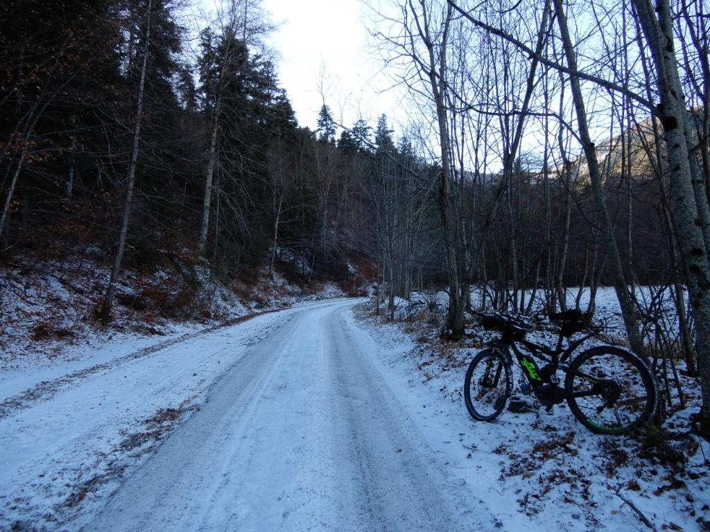 DSCN1538.JPG