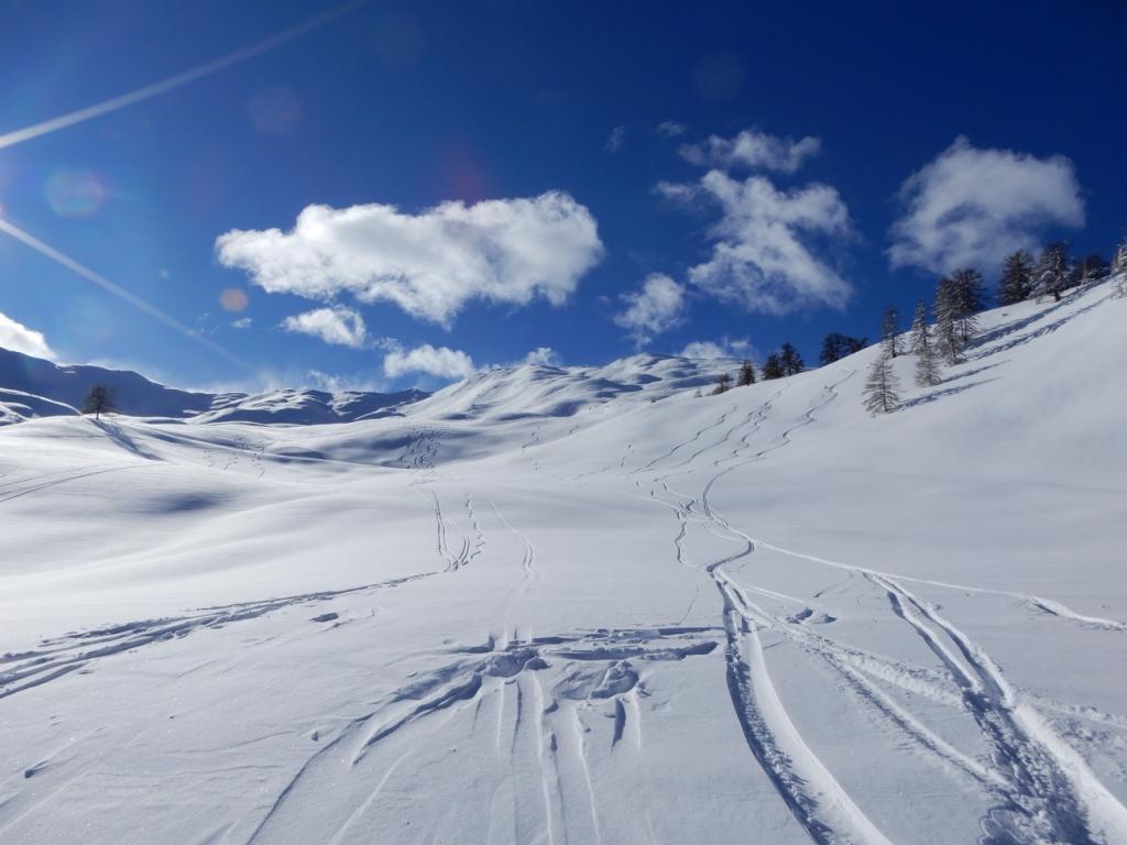 2 Vallon Pellat, Ratelle.JPG