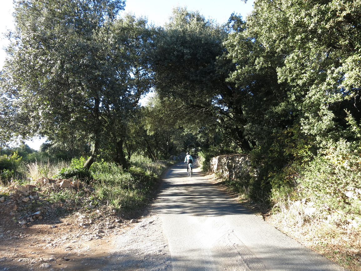 Petites routes dasn les oliveraies au dessus de Pignan