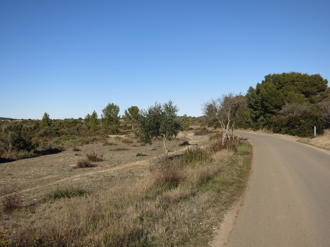 Grandes étendues de garrigues au dessus de Cournonterral