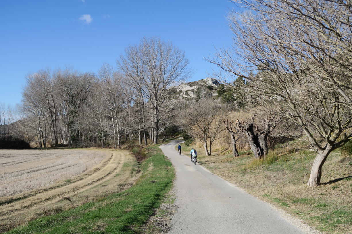 Petite route tranquille et Mas splendide dasn les platanes