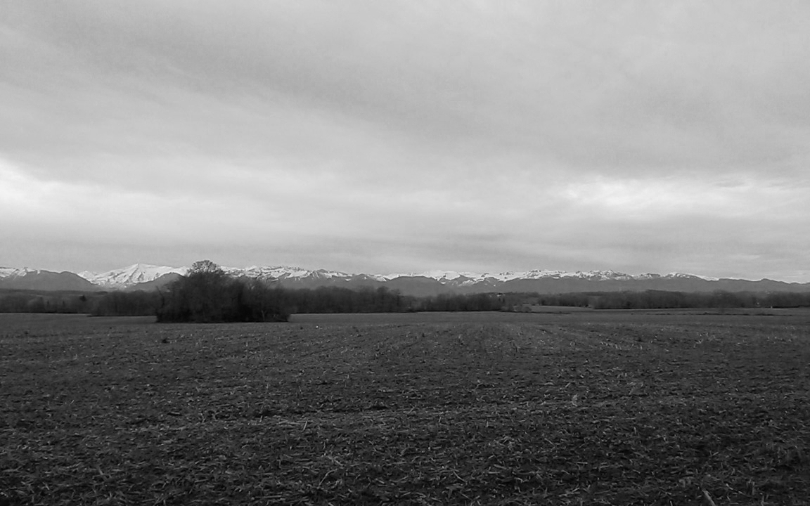 WP_20171231_09_42_54_Panorama.jpg