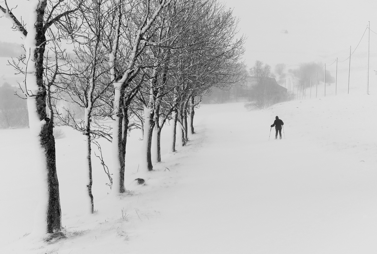 Dans le blizzard: plus de couleurs...