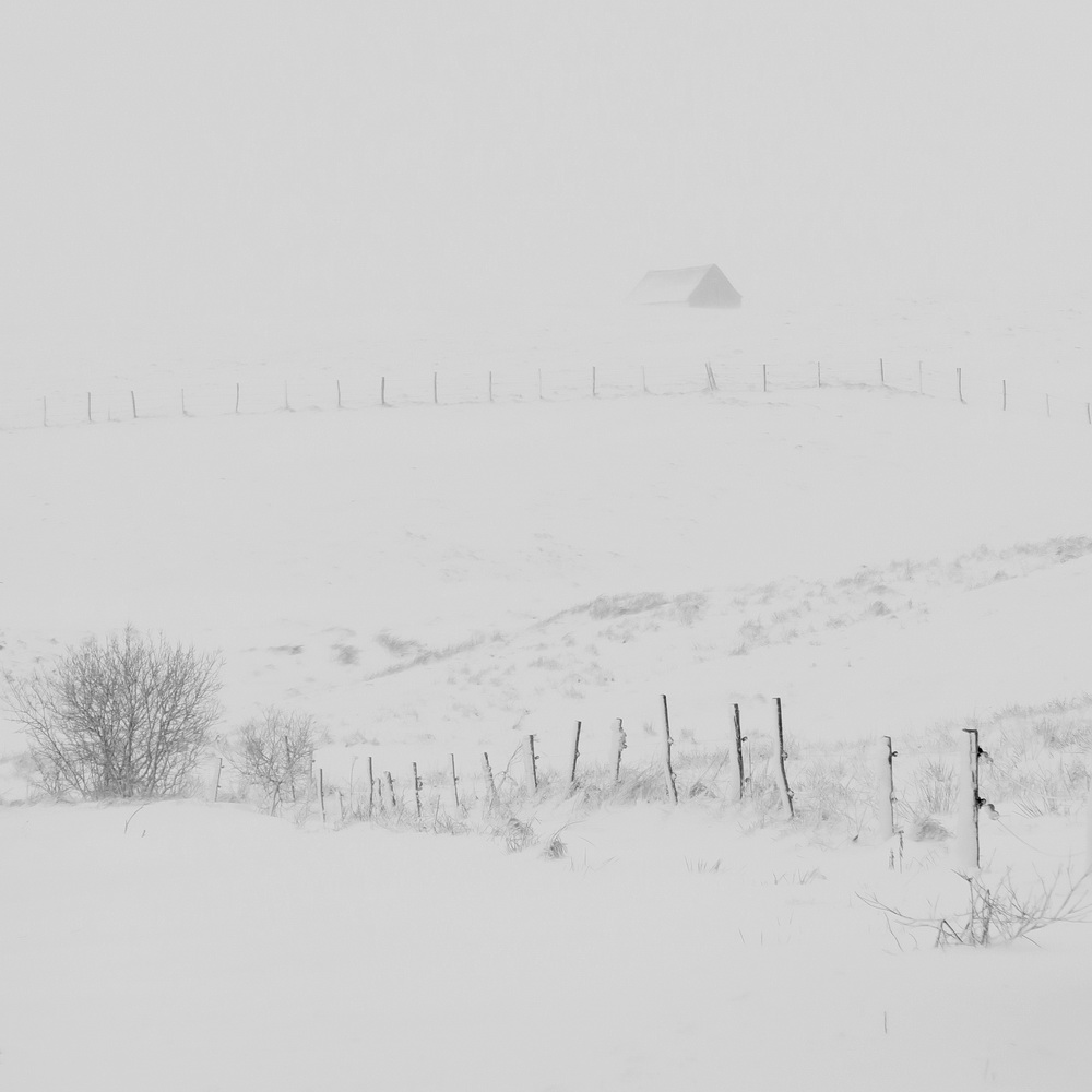 G5X_04866_BW_LR.JPG