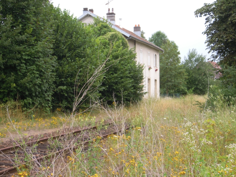 DSCN0221.JPG