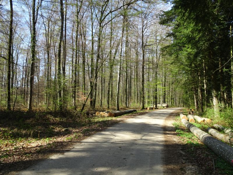 Route avant la frontière