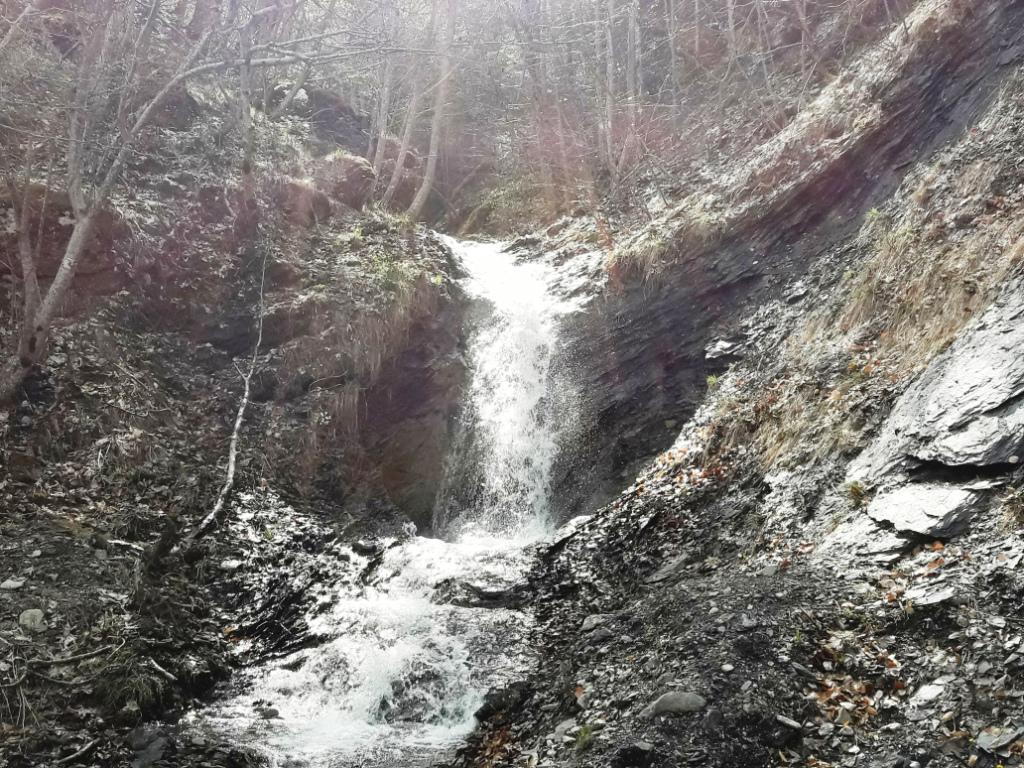20180423_110412.jpg