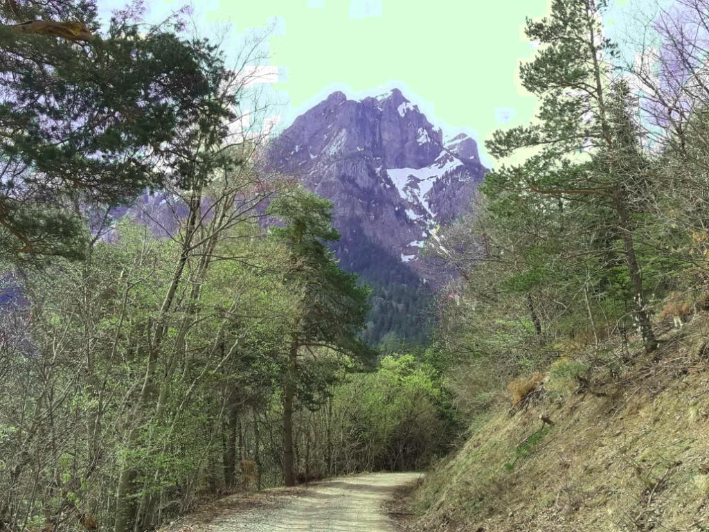 Pic de Morgon