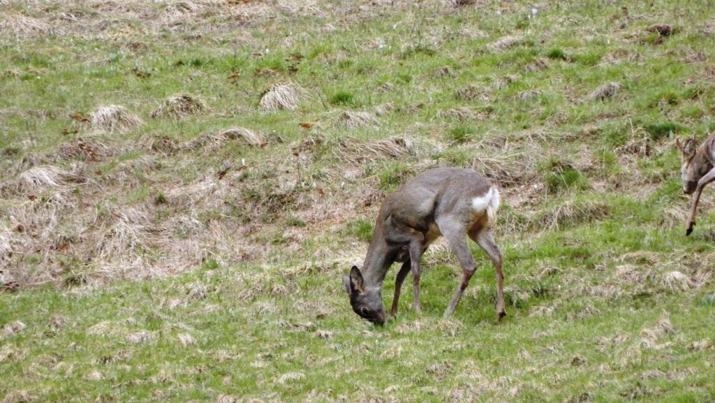 DSCN0640.JPG