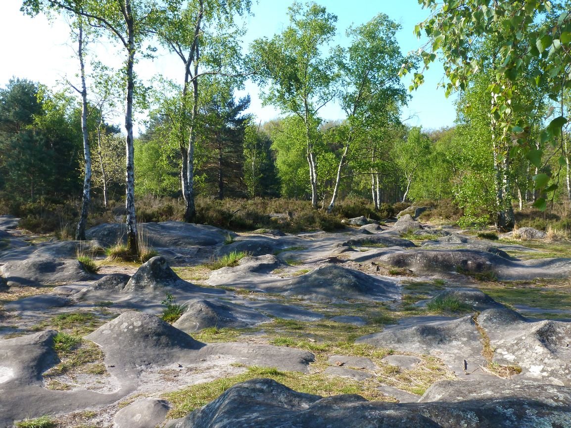 P1020780_petite.JPG