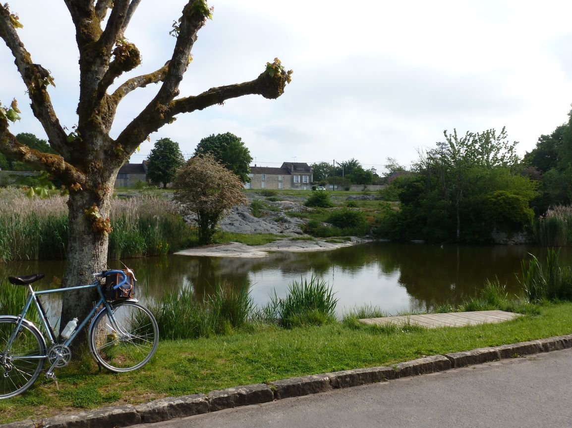 P1030423_petite.JPG