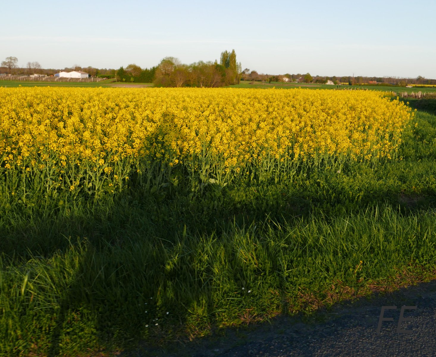 paysage valonné le long de l'estuaire, le soir tombe, la route est déserte, l'air est doux