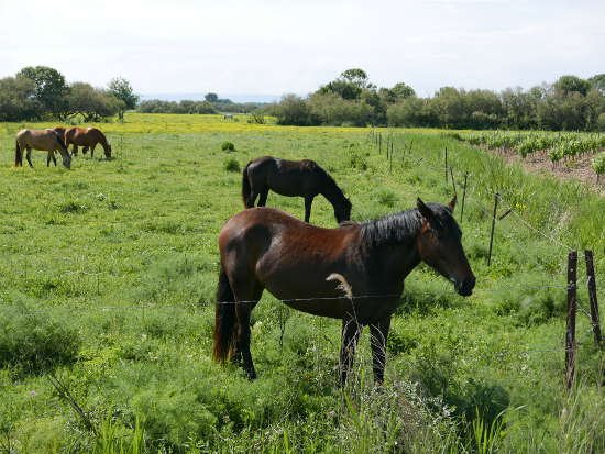 seule rencontre sur ce chemin
