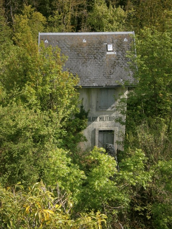 6.JPG