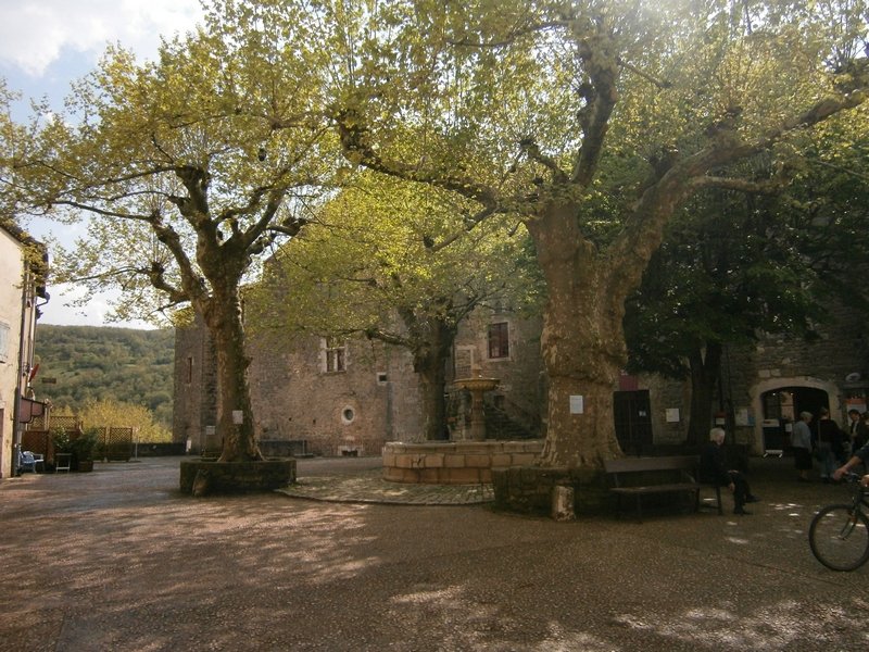 11.JPG