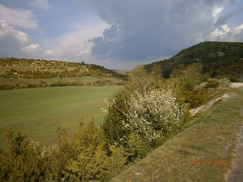 15.JPG