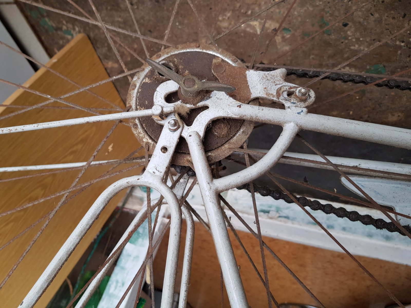 20180523_124818.jpg