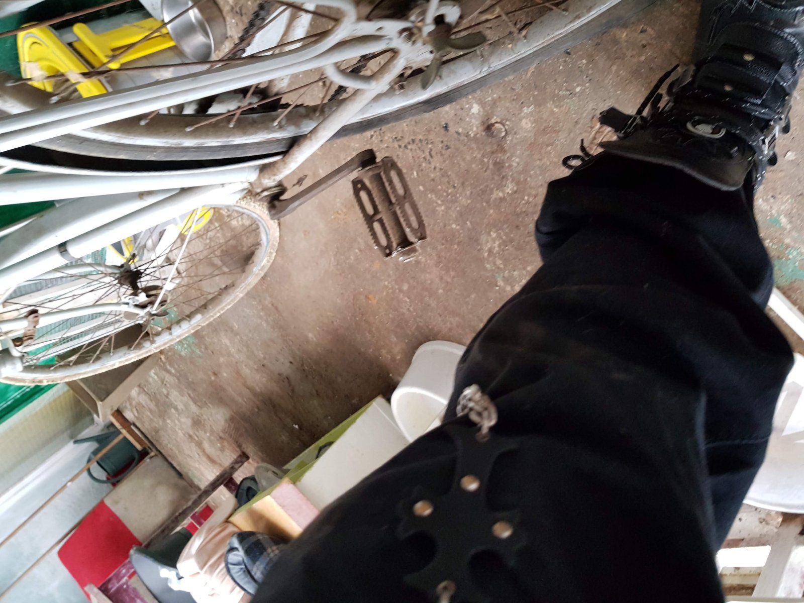 20180523_124836.jpg