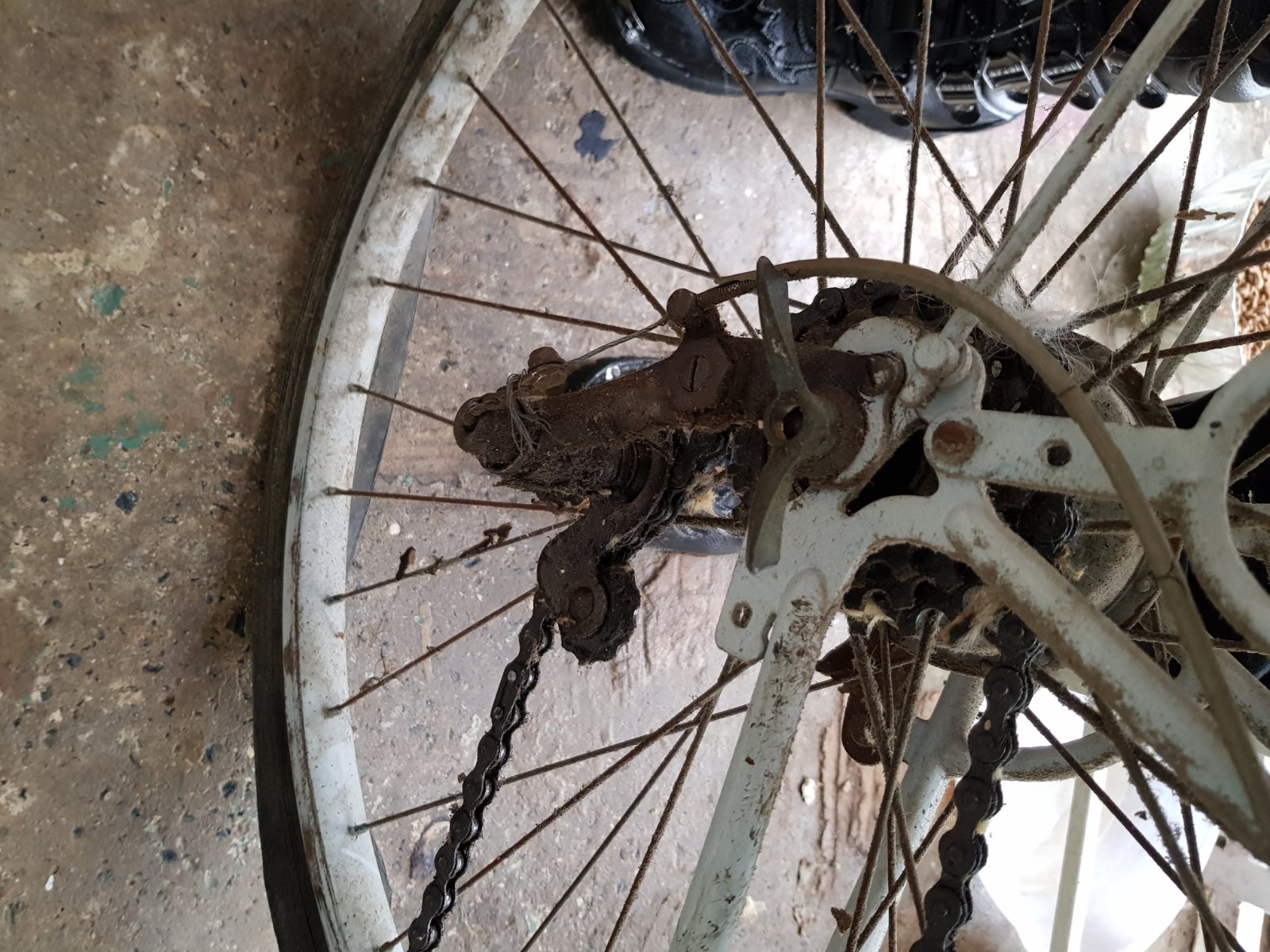 20180523_124845.jpg