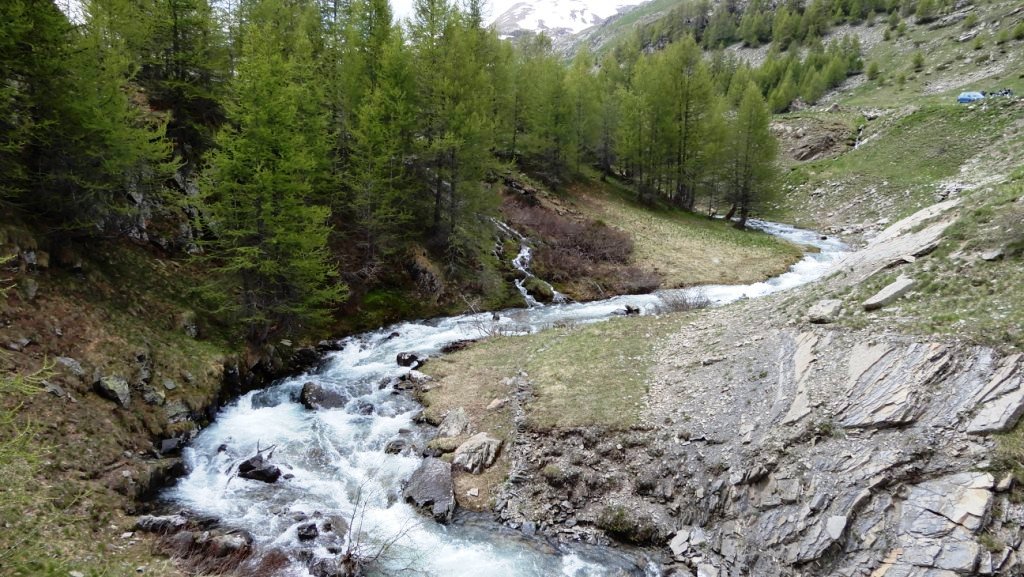 DSCN0855.JPG