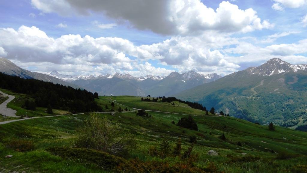 Alpages. Au fond : le Briançonnais et le Massif de Rochebrune, vers le Col de l'Izoard