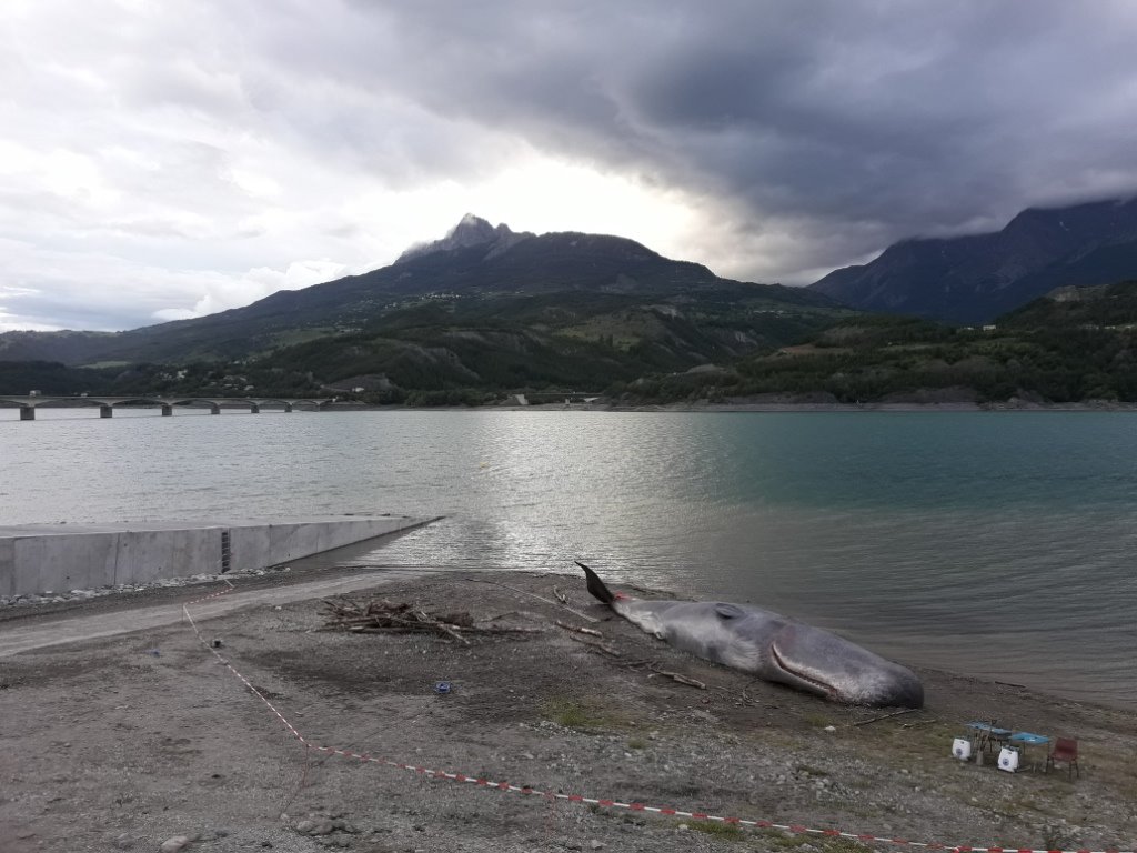 20180608_200839 - Copie.jpg