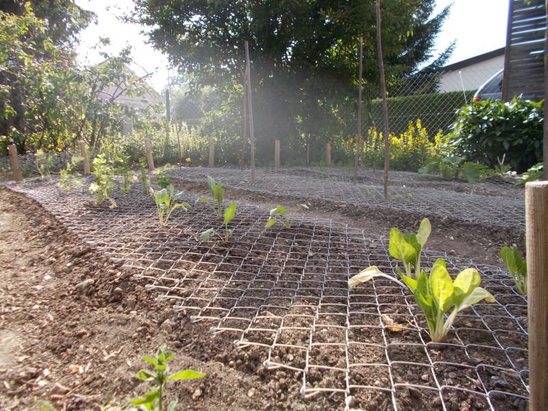 Du boulot au jardin...