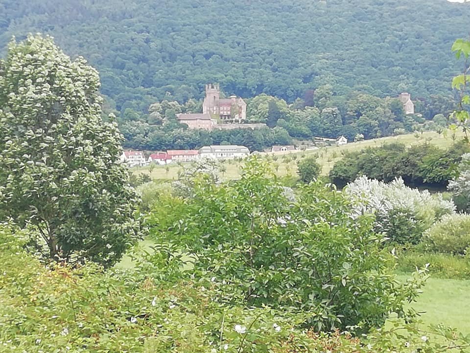 le long du Neckar