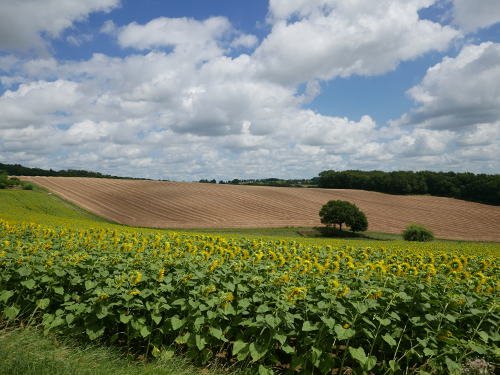 quelques belles lignes dans le paysage