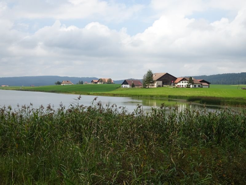 DSC01685.JPG