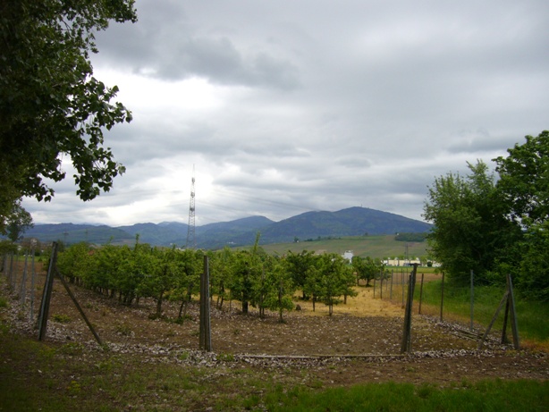 Le Hochblauen le jour de ma montée au Kreuzweg sous la pluie