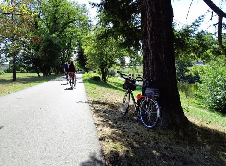 Piste cyclable entre Lörrach et Bâle
