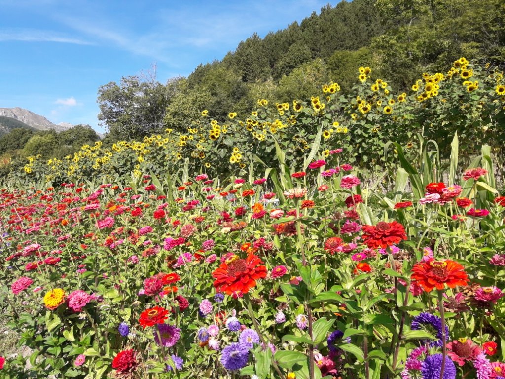 20180915_103710.jpg