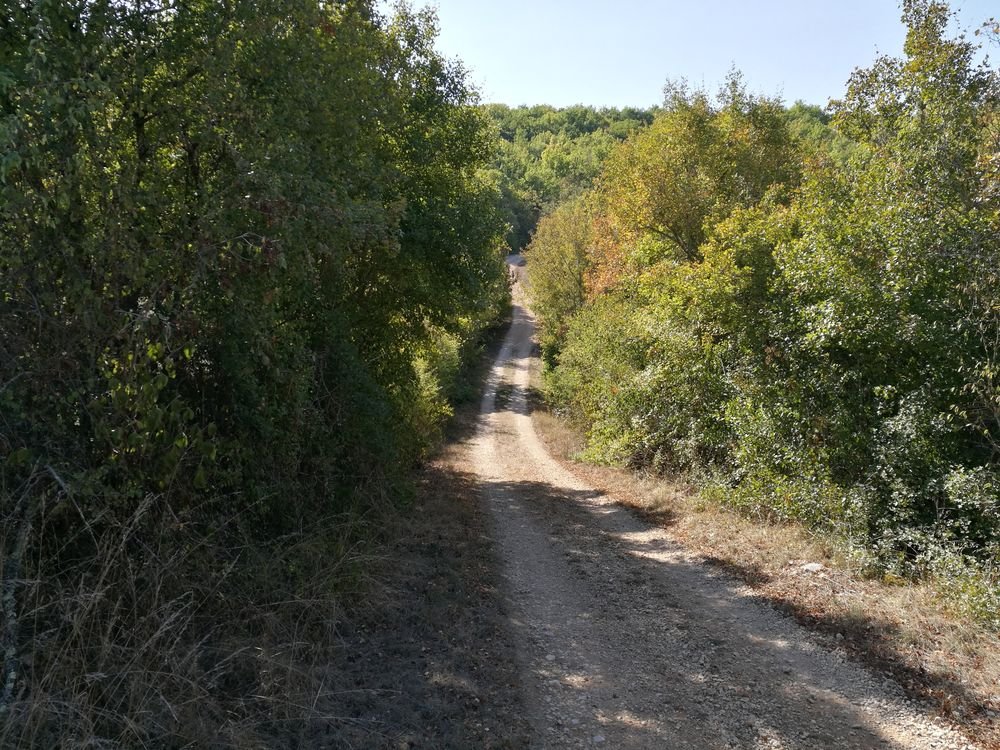 IMG_20181006_130536.jpg