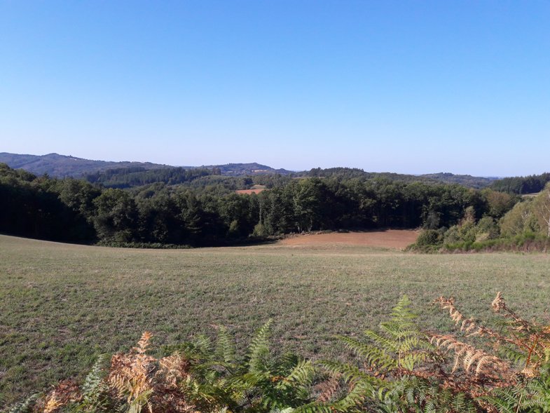 Près du Mont Larron 1.jpg