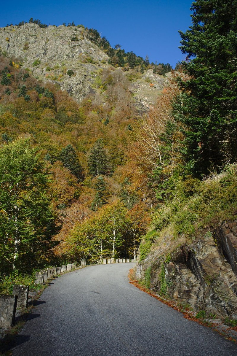 2018_10 part 4 (102).jpg