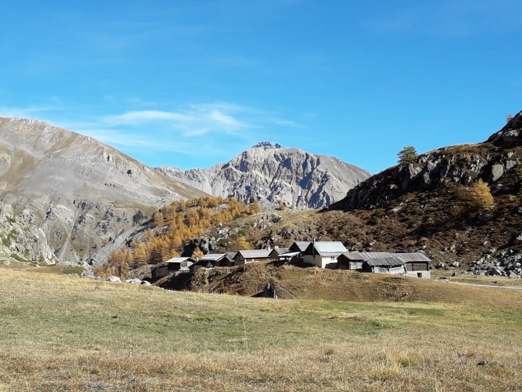 20181025_134748.jpg