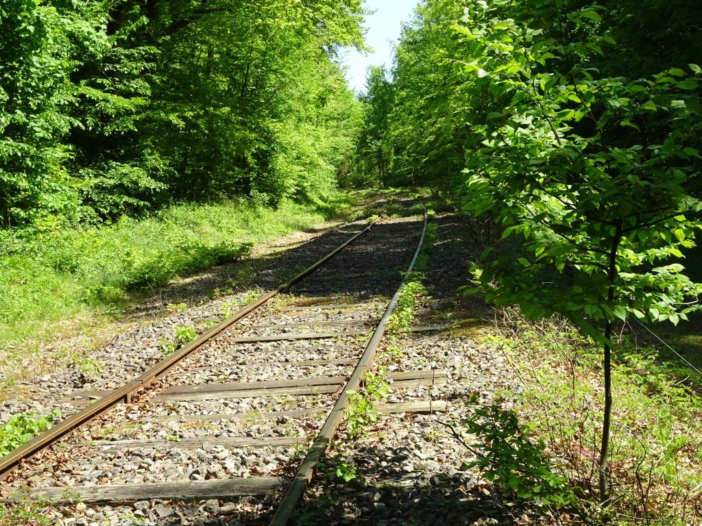Ces rails conduisent vers l'horreur des camps nazis