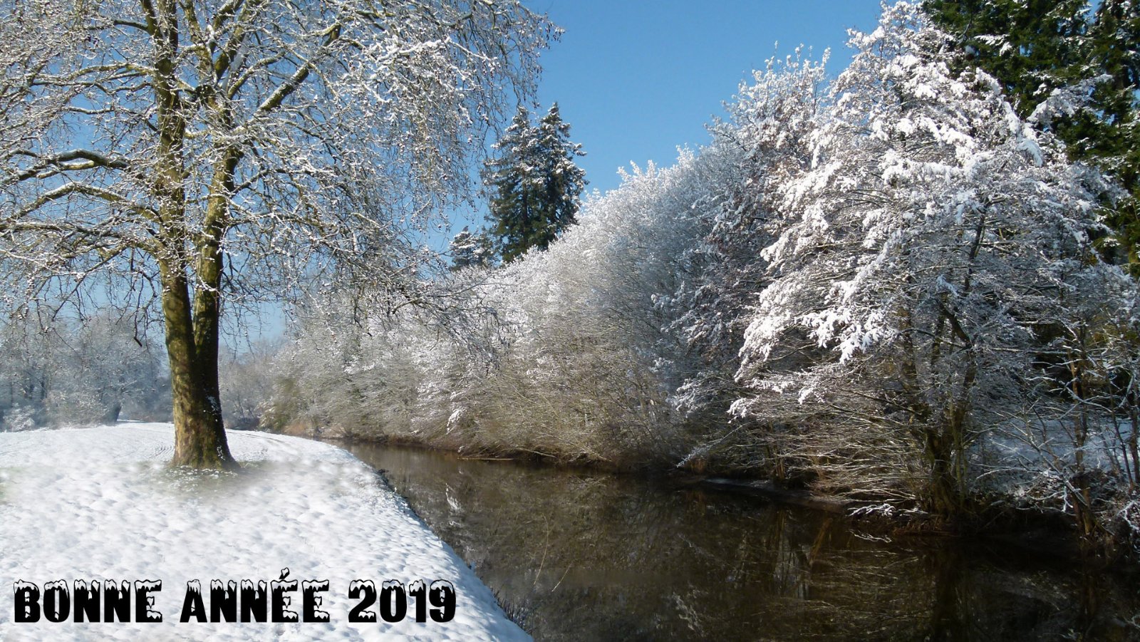 voeux canal d'Orléans snow 01.jpg