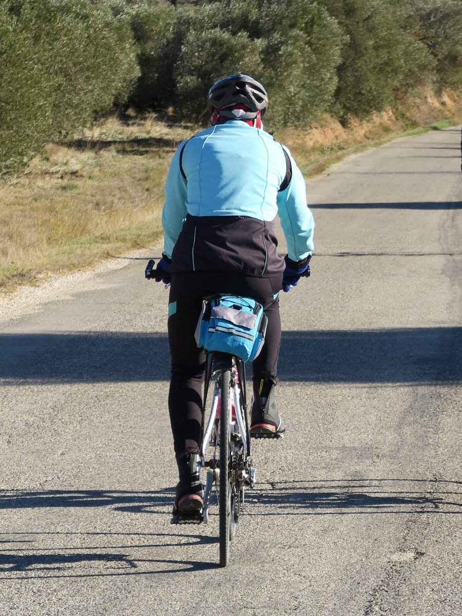 Sacoche de porte-bagage Rosewheel